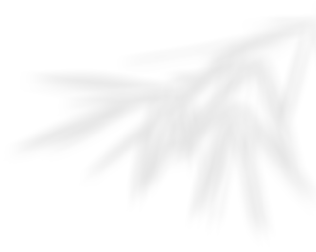 deco