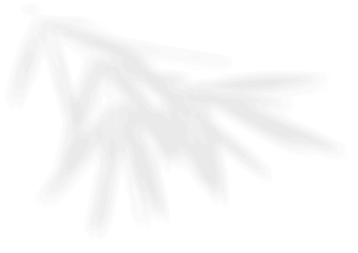 deco